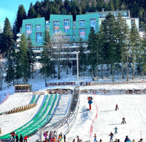 Mountain View - Ski in Ski out - Bjelašnica